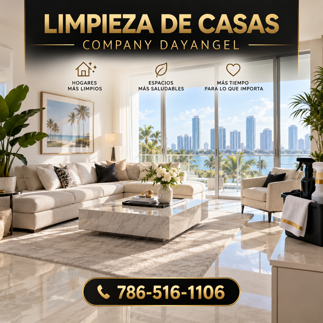 Promoción de limpieza de casas de Company Dayangel